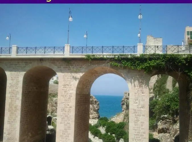 Donatella Couette-café