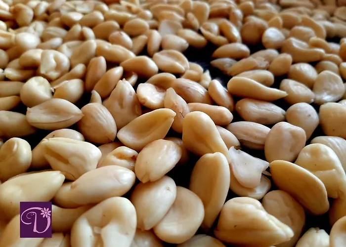 Donatella Polignano a Mare