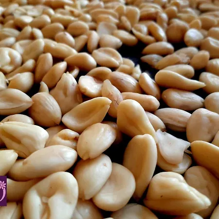 Donatella Polignano a Mare