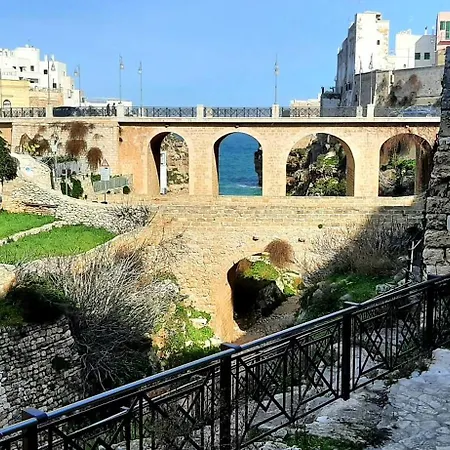 Donatella Polignano a Mare