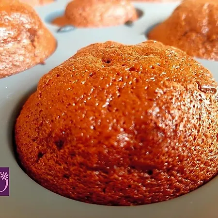 Donatella Alojamento de Acomodação e Pequeno-almoço 4*